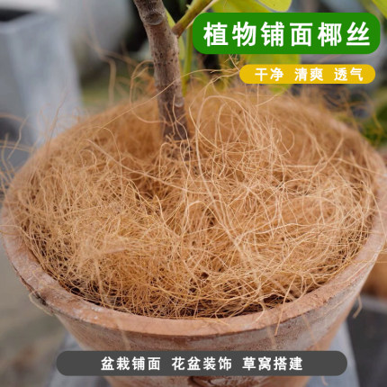 椰棕丝盆栽铺面透气椰丝花盆装饰天然椰壳丝种花草丝园艺椰壳纤维