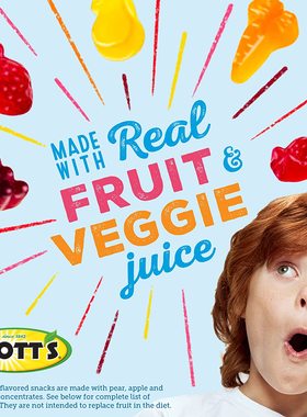 Mott's 水果味零食软糖 水果蔬菜制成无添加什锦水果软糖一盒40袋