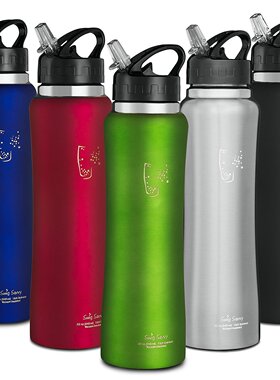 Swig Savvy 不锈钢保温杯 水杯 水瓶 水壶 广口 大容量双壁 防漏