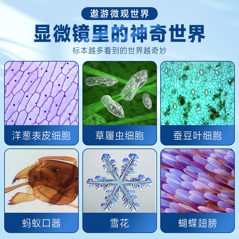 显微镜儿童专用中学生科学专业级可看细菌小学生光学高清数码放大