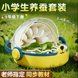 蚕宝宝学生养蚕套装太空养育仓培育饲养盒七彩小蚕宝宝1234龄新鲜