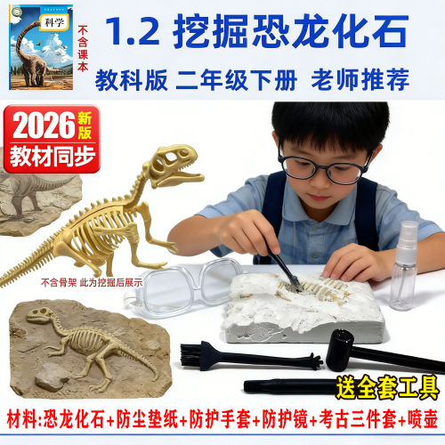 二年级恐龙挖掘玩具【老师推荐】