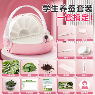 蚕宝宝学生养蚕套装太空养育仓培育饲养盒七彩小蚕宝宝1234龄新鲜