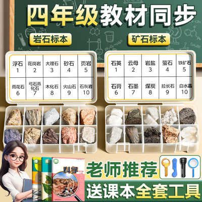 【央妈力荐】岩石标本四年级