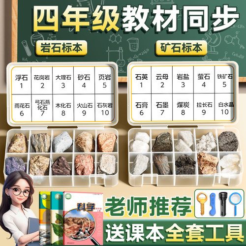 【央妈力荐】岩石标本四年级