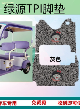 适用爱玛星云PRO电动三轮车AM1000DZK-22K丝圈脚垫防水防晒脚踏垫