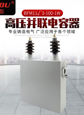 厂家供应成套柜高压户外BFM FFM BAM 系列10KV现货并联电力电容器