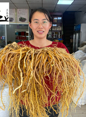 福建新鲜黄花菜根 金针根 萱草根 忘忧草根煲汤食材中草药包邮
