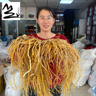 福建新鲜黄花菜根 金针根 萱草根 忘忧草根煲汤食材中草药包邮