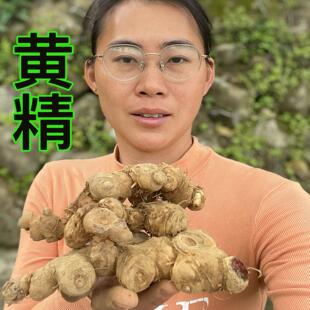福建新鲜黄精 多花姜形黄精 晒干仙人余粮500克