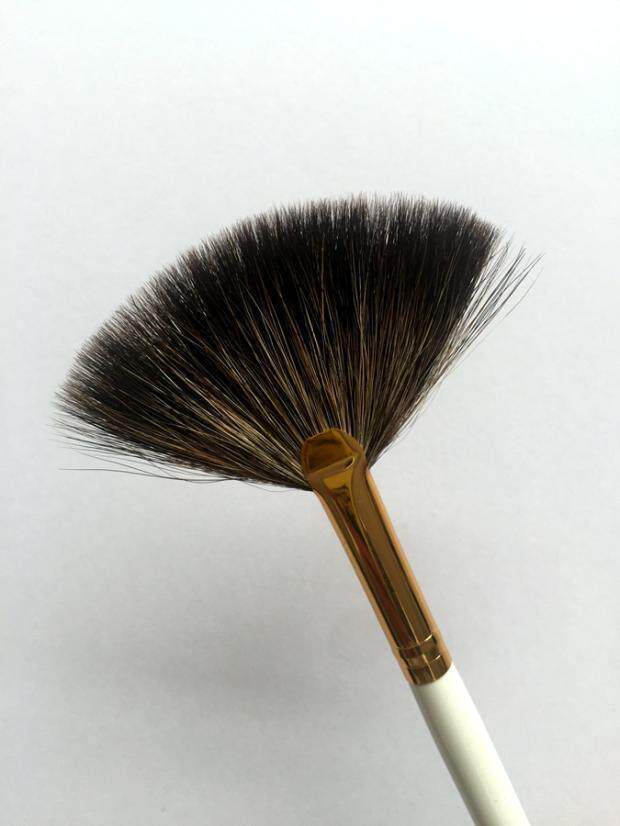 扇形余粉刷 金小八貉子毛  刷型蓬松会炸毛看介绍 送透明保护套