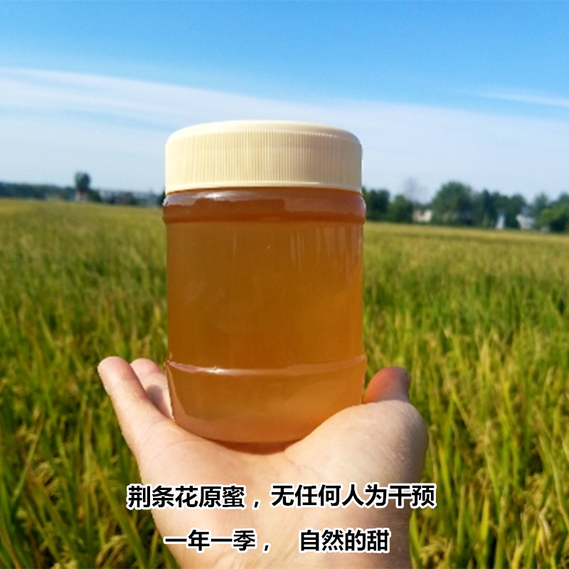 荆条蜜原蜂蜜 无任何人工干预 自然的一口花香清甜500g 传统滋补营养品 蜂蜜 原图主图