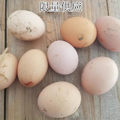 土鸡蛋   乡下散养笨鸡蛋  五谷杂粮喂养放心农家鸡蛋