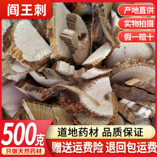 中药材正品阎王刺500克包邮 云实根 牛王茨根 野生新货阎王刺根