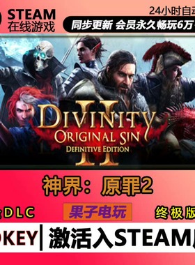 神界原罪2 Steam激活码CDKEY入库区全球区Divinity Original Sin2