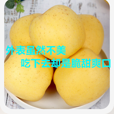 正宗维纳斯黄金苹果脆甜果香园区直发奶油表面有少量果绣介意勿拍