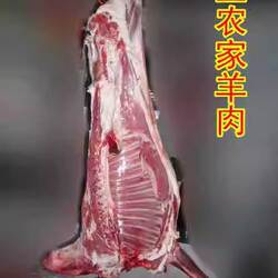 右玉整羊半只羊  玉洲峰右玉羊肉  农家羔羊绵羊肉 京东顺丰包邮