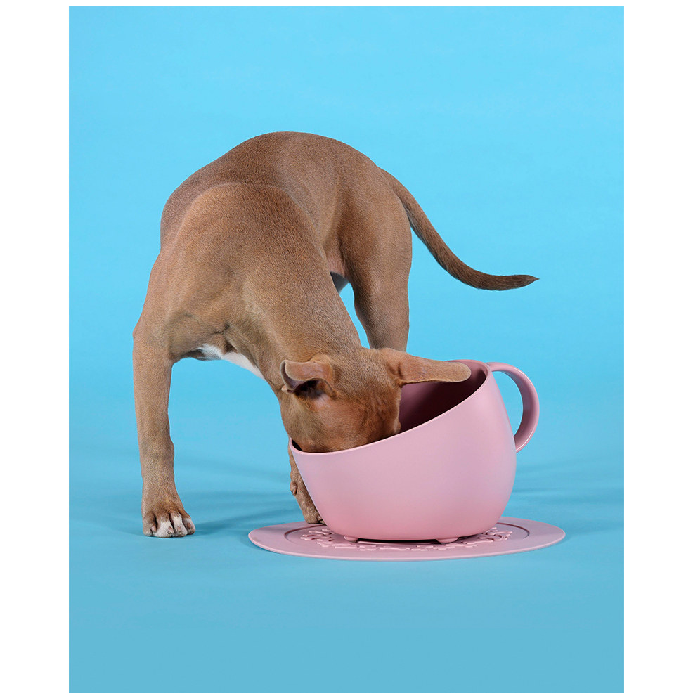 意大利原装进口UnitedPets咖啡杯宠物狗碗碗垫套装食盆水碗食盆