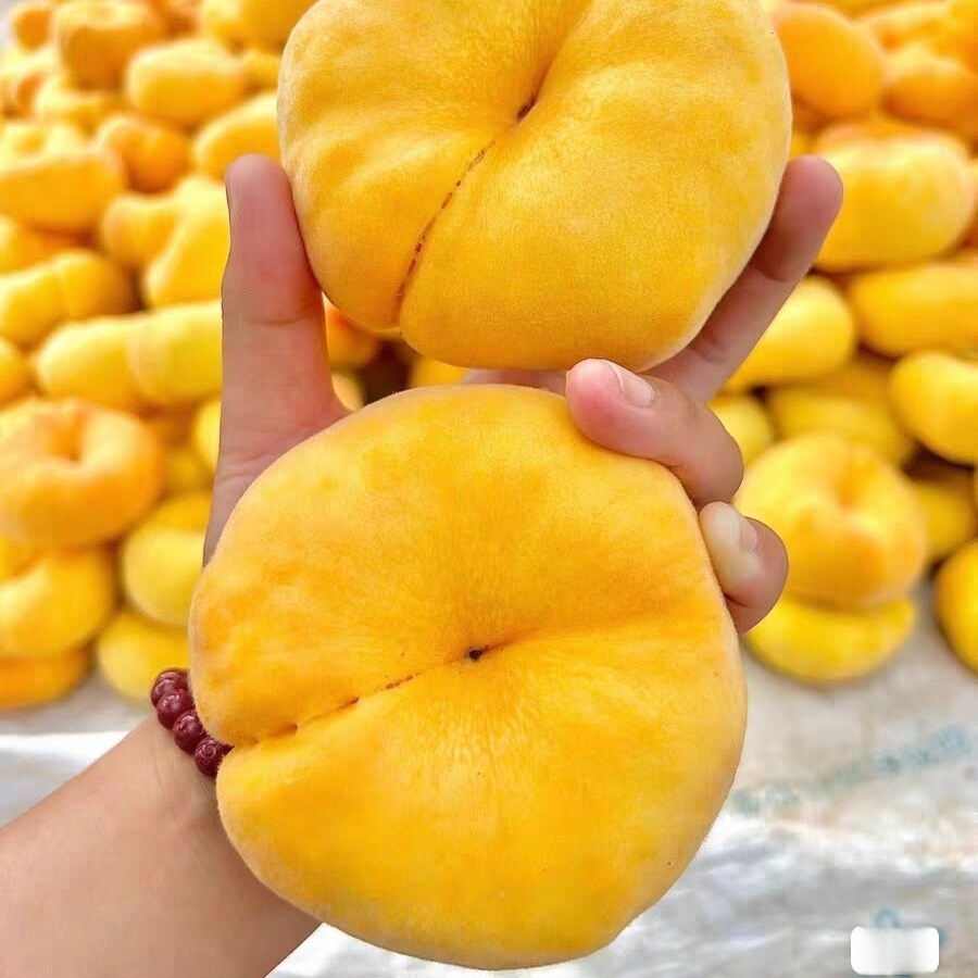蒙阴黄金毛蟠桃新鲜水果扁桃山东应季孕妇毛桃脆桃当季桃子整箱