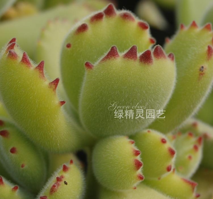 鸡泽县甜橙理财基金为什么不能全部赎回【加▲