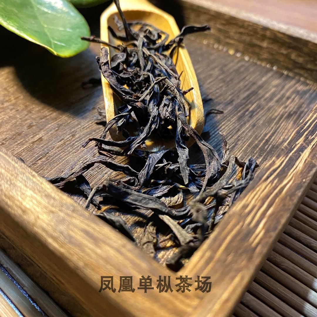 凤凰单丛茶蜜兰香浓香型单枞蜜香高山原单丛产地茶农自产自销