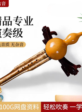 云南傣家古音傣味凤眼竹DC降bAGF调葫芦丝成人专业录音演奏型乐器