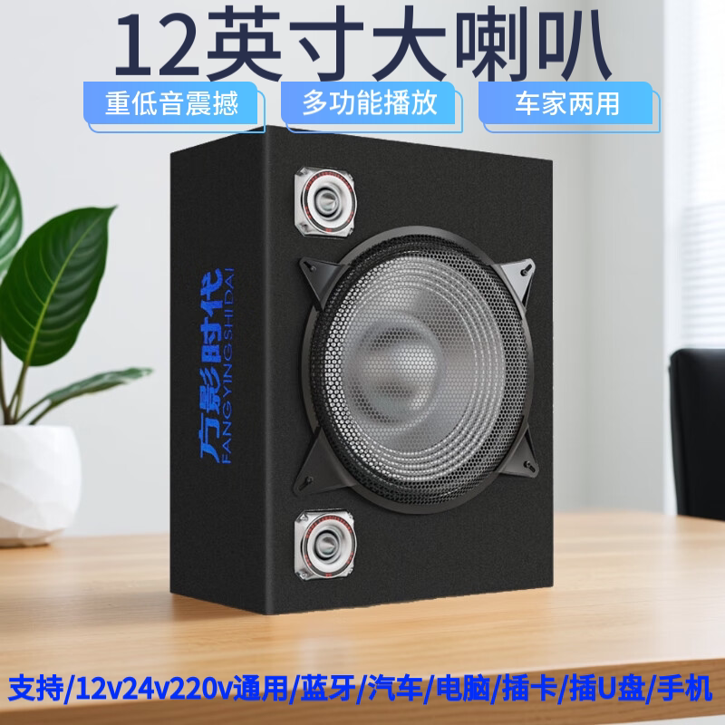 12英寸车载超重低音炮12v2汽车音箱/低音炮