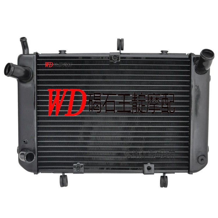 王靛摩配  GSR400 600 小BK 水箱总成 B-KING 水冷器 散热器