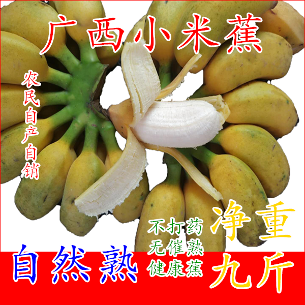 广西小米蕉新鲜香蕉酸甜味自然熟