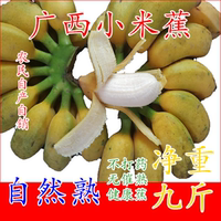 廣西小米蕉新鮮香蕉酸甜味自然熟