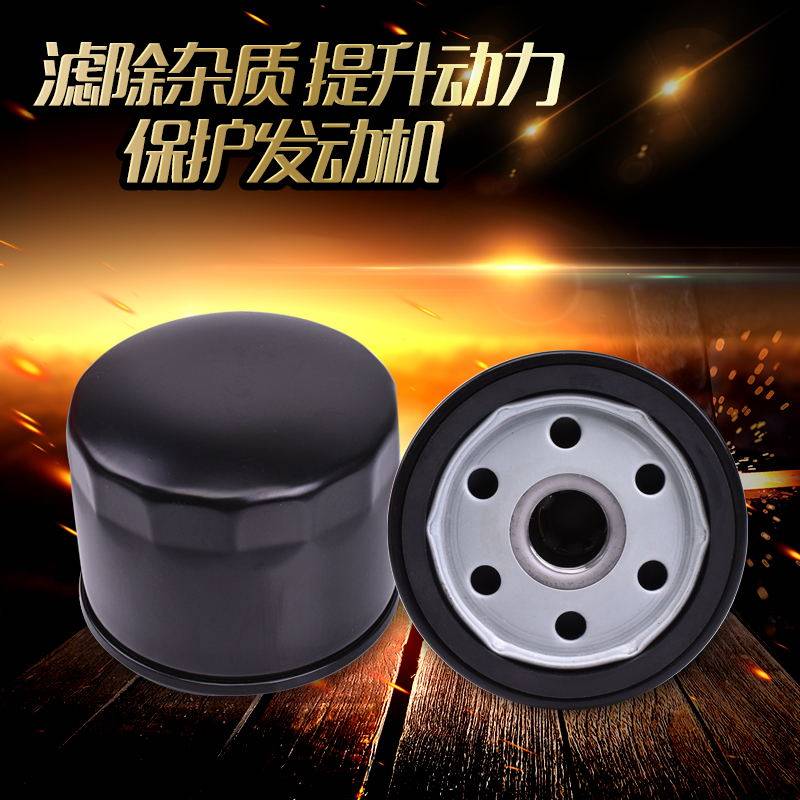 适用宝马水鸟R1200 F800GS K1600 C650过滤清器 摩托车机油格滤芯