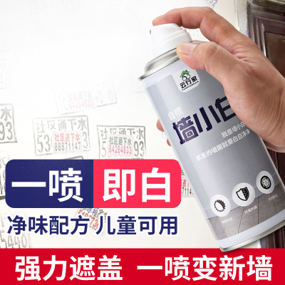 墙面自喷漆乳胶漆室内
