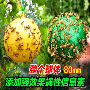 诱蝇球柑橘大实蝇瓜果实蝇果园蓝莓樱桃灭果蝇粘虫球板针蜂引诱剂