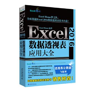 Excel 2016数据透视表应用大全 ExcelHome 北京大学出版社