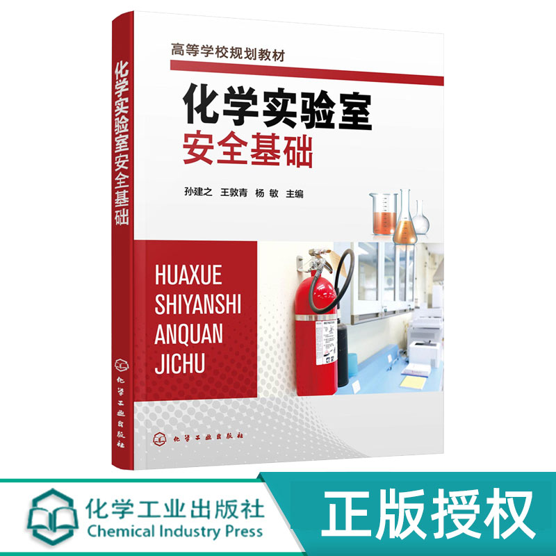 化学实验室安全基础 孙建之 王敦青 杨敏 9787122391667 化学工业出版社