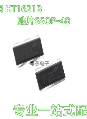 HT1621B 贴片SSOP-48 RAM映射LCD驱动器 液晶台湾芯片 全新合泰
