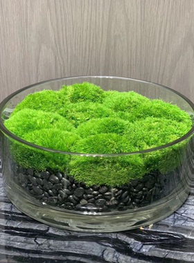 矮胖大口径花瓶玻璃客厅餐桌绿萝睡莲盆创意加厚婚庆桌面装饰摆件