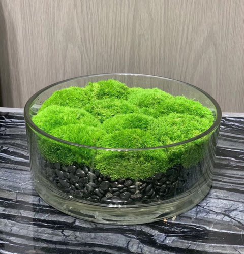 餐桌花瓶玻璃花盆简约装饰摆件