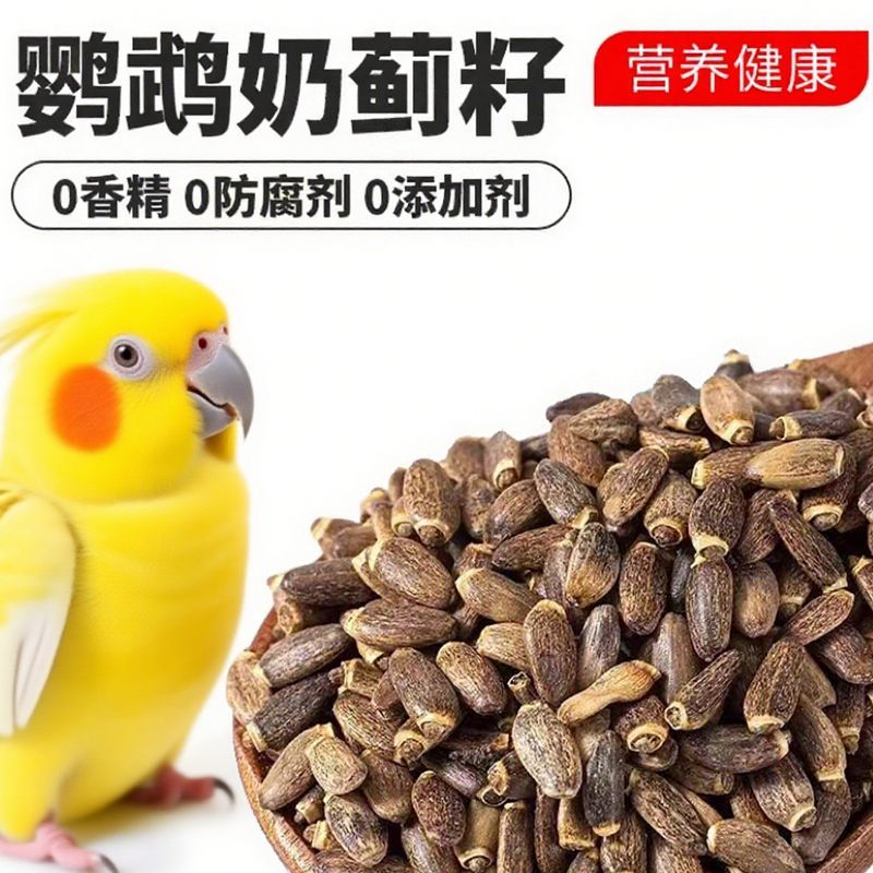 鹦鹉饲料带壳水飞蓟籽草子