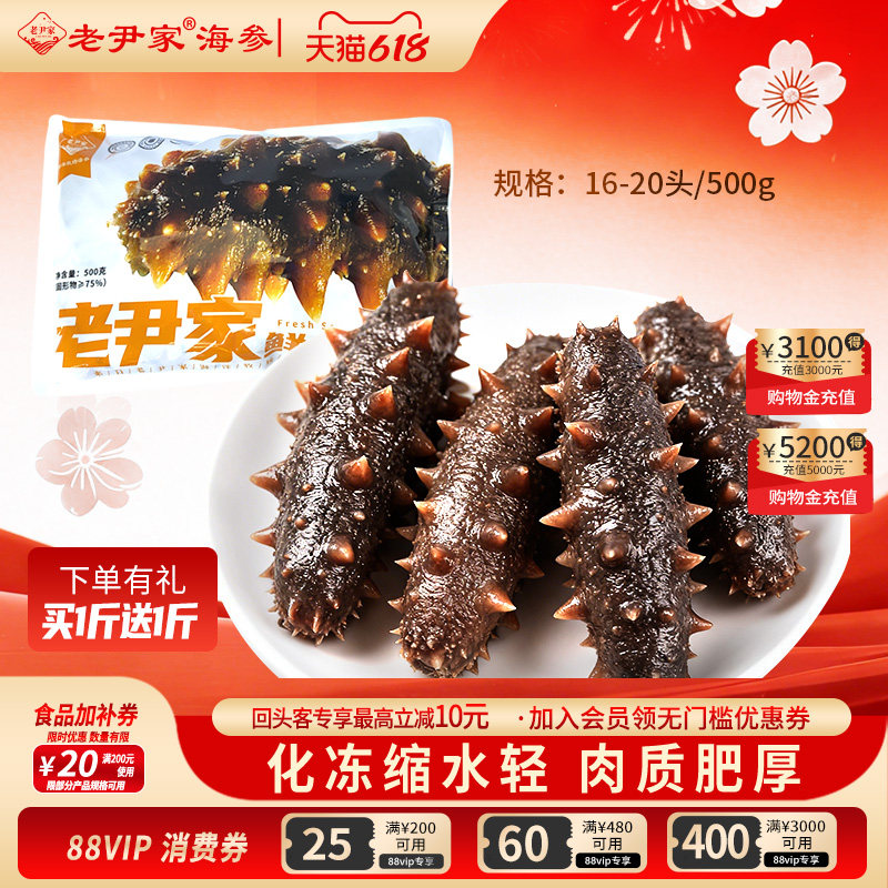 老尹家鲜食海参固形物75%以上16-20头/500g 买一斤送一斤