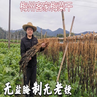 广东客家梅菜干梅州农家日晒整颗梅干菜客家特产干货梅菜扣肉无盐