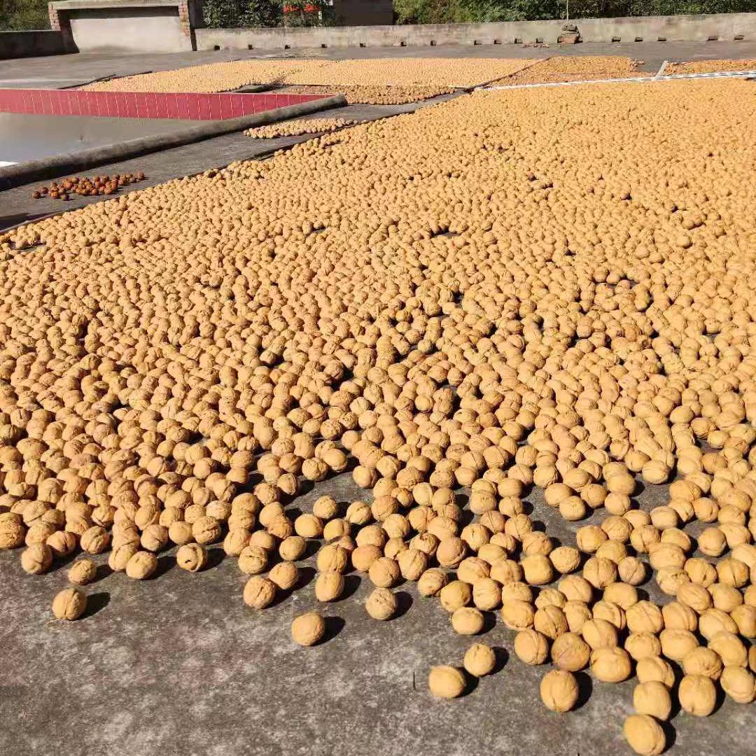 25年新货陕西黄龙干核桃薄皮核桃营养天然农户包邮5斤装双11大促