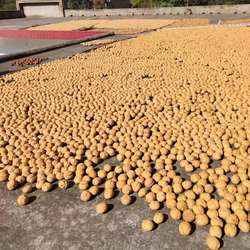 25年新货陕西黄龙干核桃薄皮核桃营养天然农户包邮5斤装双11大促