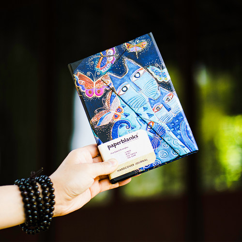 PAPERBLANKS猫咪简约复古笔记本