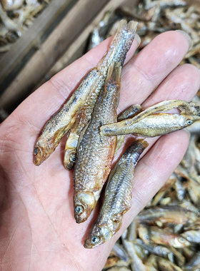湖南益阳特产农家自晒大嫩仔鱼