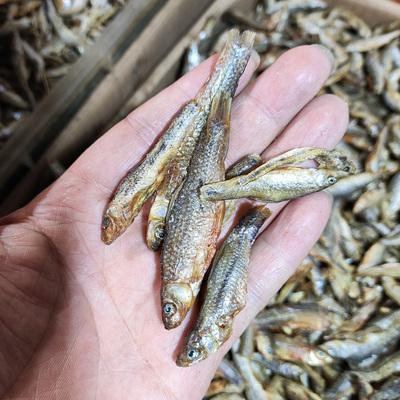 湖南益阳特产农家自晒大嫩仔鱼