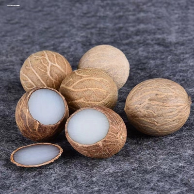 菩提根原子果白玉菩提子原籽手串108颗散珠大果项链