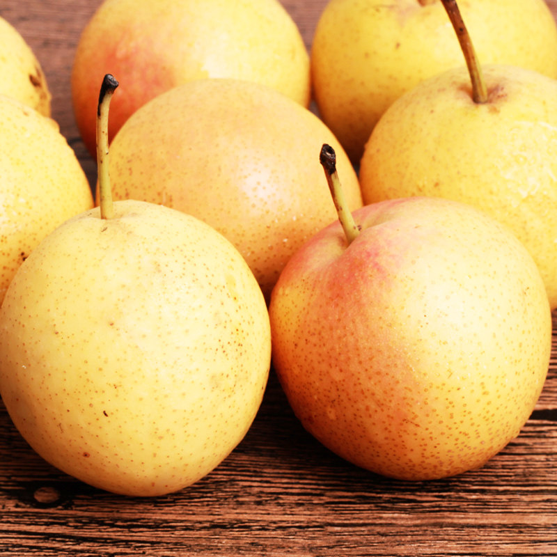 南果梨新鲜水果鞍山酒香南国梨子安果梨正宗东北薄皮多汁当季5斤