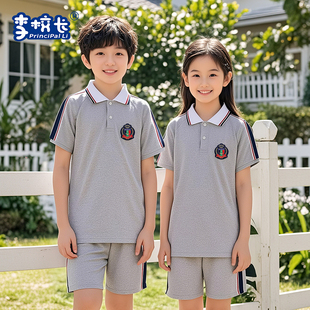 灰色运动服 中小学校服短袖 裤 子POLO衫 体恤套装