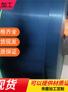 模具配件弹簧蓝色日标65MN矩形弹簧外经25/30/35/40/50/60/70